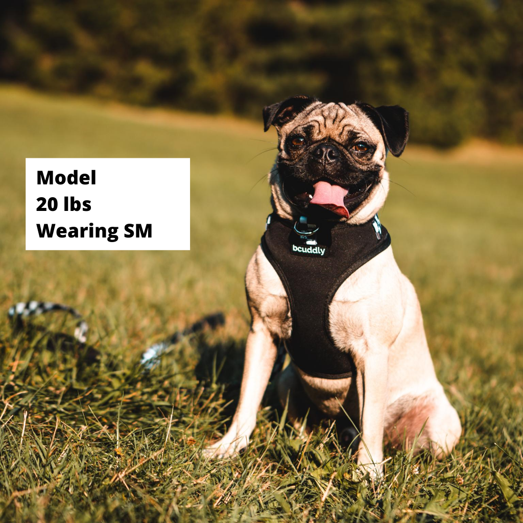 Control Dog Harness - Black