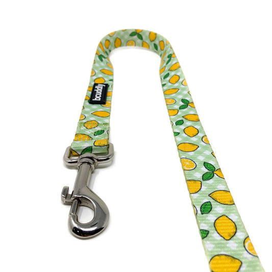 Dog Leash - Lemons (6ft)