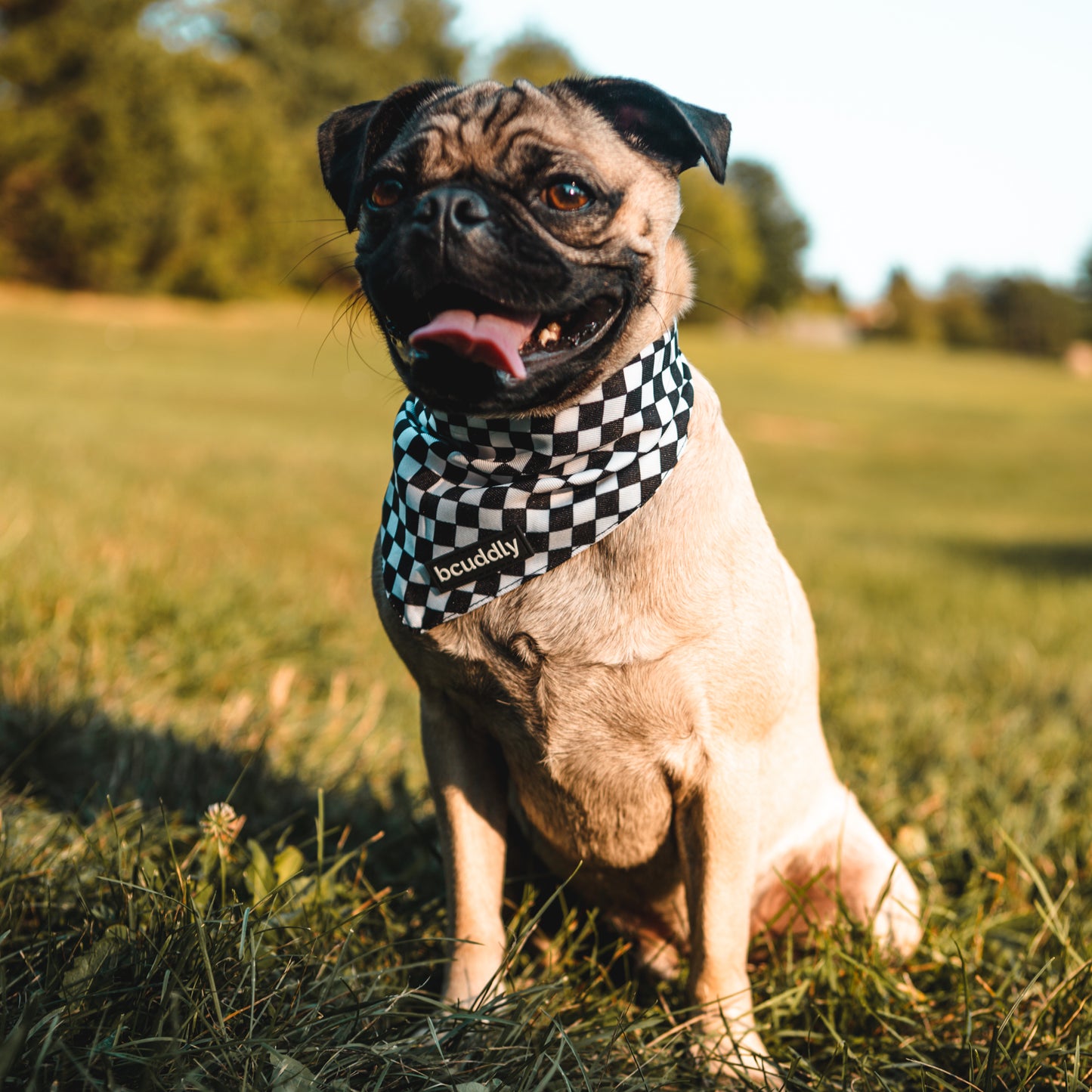 Dog bandana - Rock Out