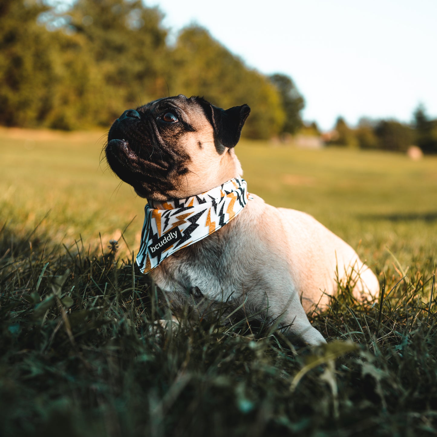 Dog bandana - Rock Out