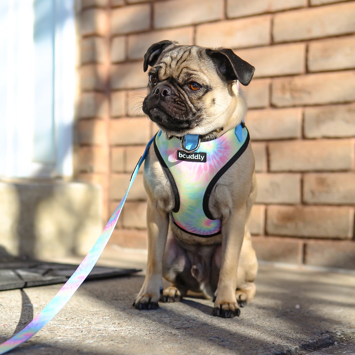 Dog Leash - Tie Dye (6ft)