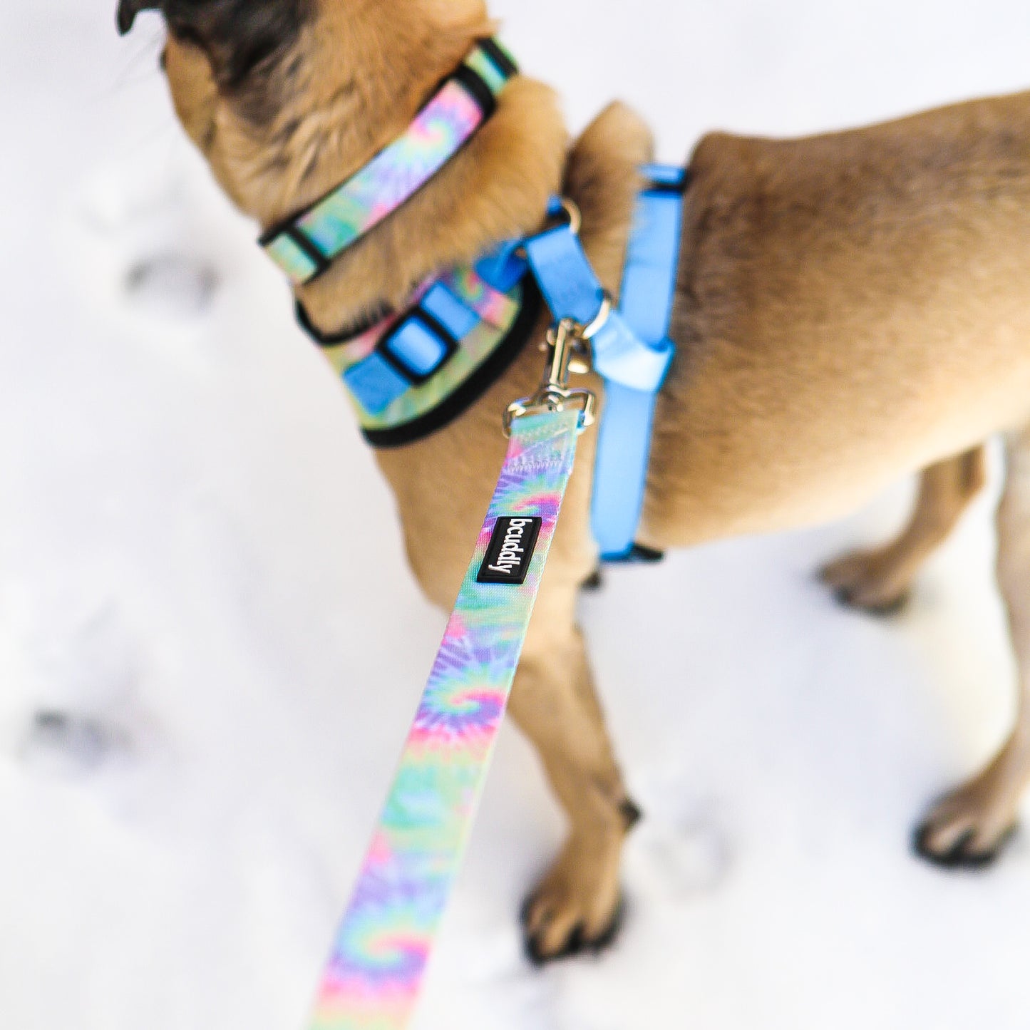 Dog Leash - Tie Dye (6ft)