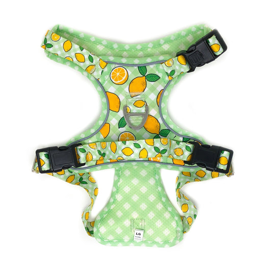 Large Dog Harness - Lemons