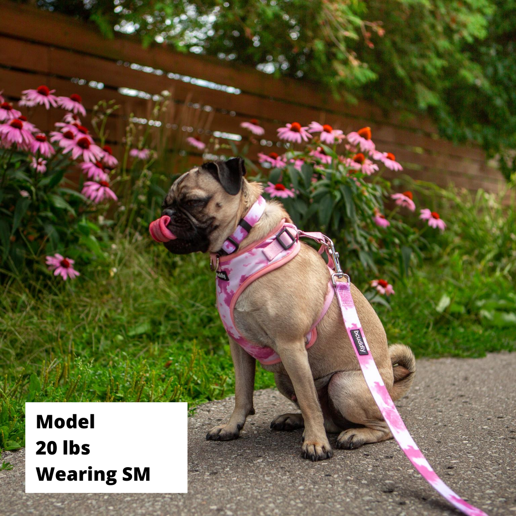 Control Dog Harness - Blush Pink