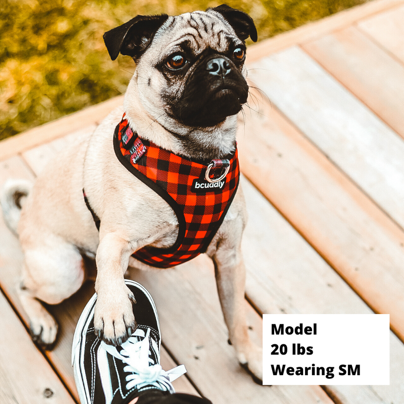 How to put on pug harness cheap