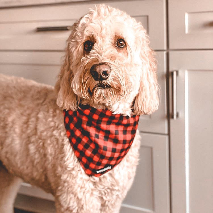 Dog bandana - Red Plaid Classic