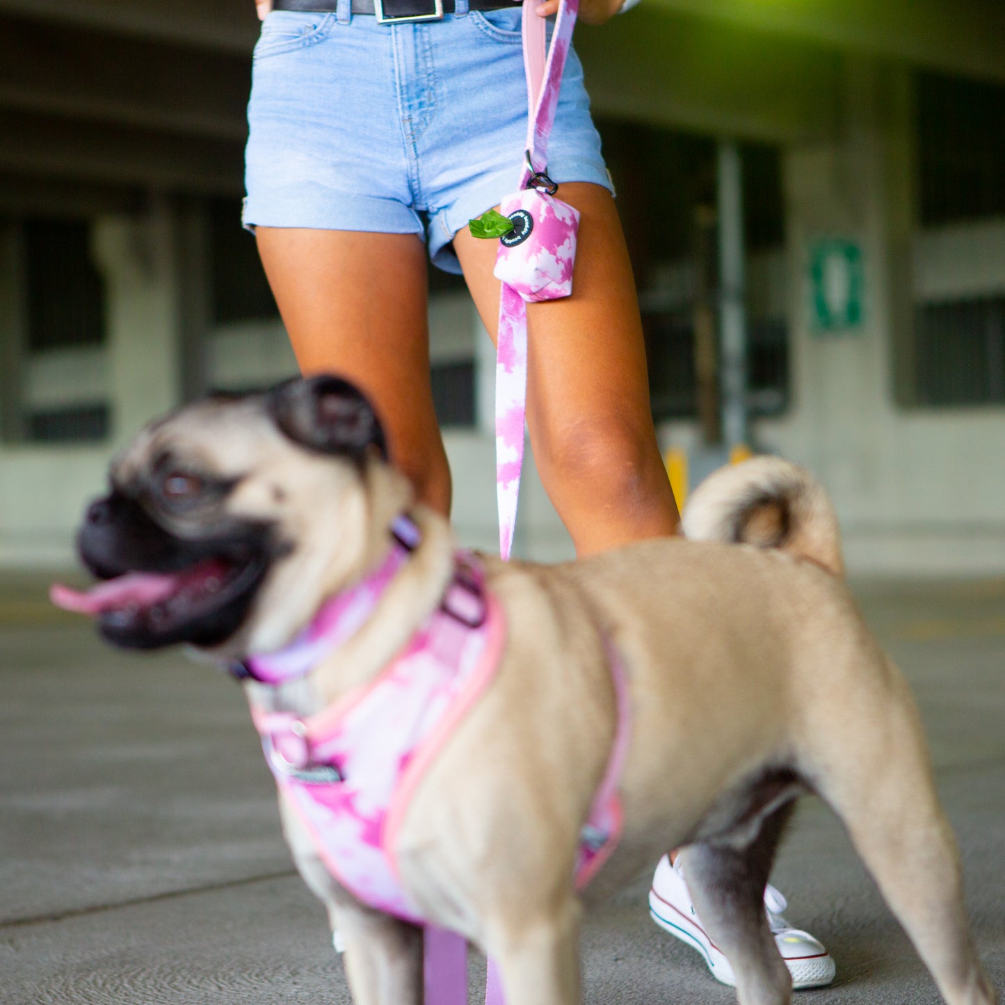 Control Dog Harness - Blush Pink