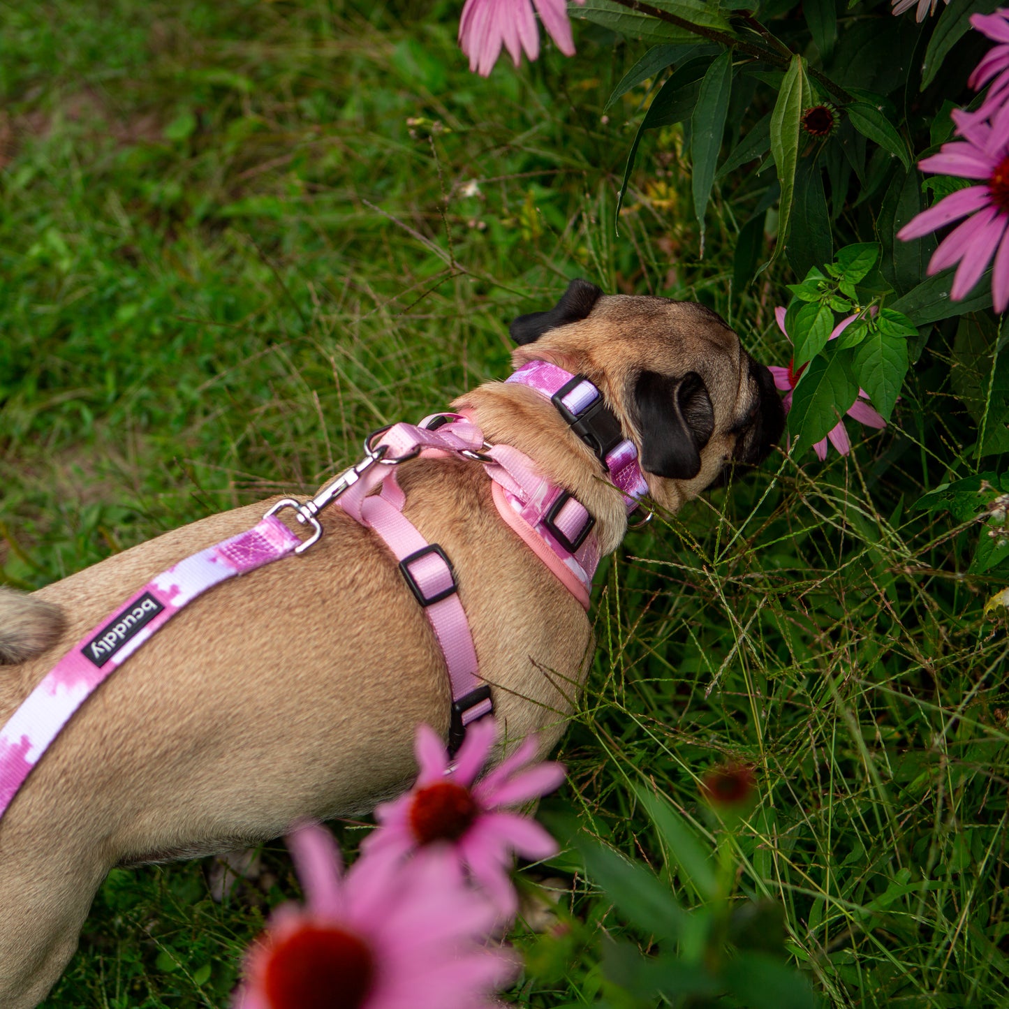 Control Dog Harness - Blush Pink