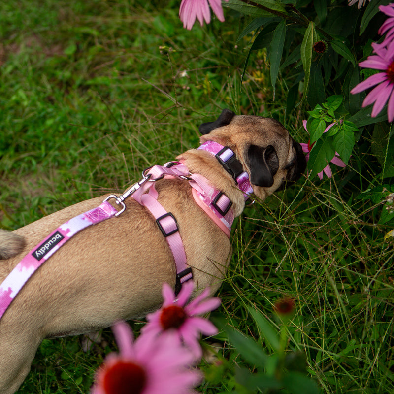 Control Dog Harness - Blush Pink