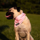 Dog bandana - Blush Pink